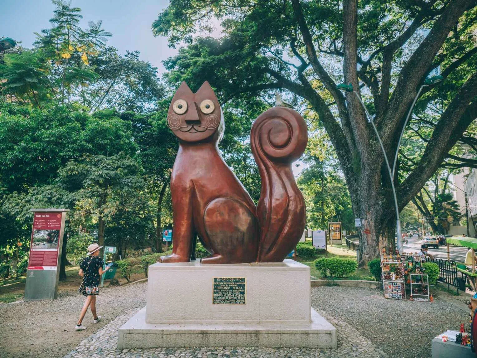 Gato del Río, Cali
